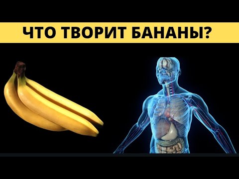 Что будет Если есть бананы каждый день?