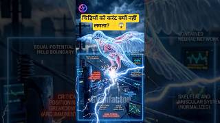 Birds Electric Wire Par Shock Kyun Nahi Lagta? ⚡ | Shocking Science Explained #shorts #facts #viral