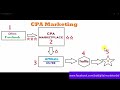 01. What is CPA Marketing?