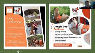 WAGS Pet Adoption's High Volume Foster Program - WG by Maddie's Fund Education 42 views 2 months ago 25 minutes