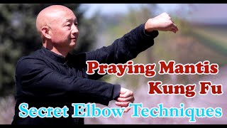 Kung Fu training 2021: Praying Mantis Kung Fu – Secret Elbow Application screenshot 5