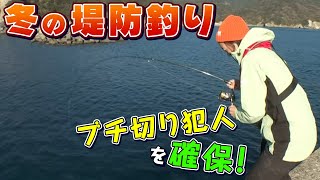 【中古】防波堤釣り入門 (Go Fishing) GO!GO!九ちゃんフィッシング #458 「冬の堤防釣り！（後篇
