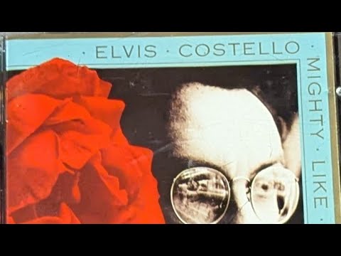 ELVIS COSTELLO, mighty like a rose (FULL ALBUM) - YouTube