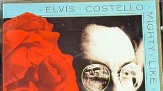 ELVIS COSTELLO, mighty like a rose (FULL ALBUM) - YouTube