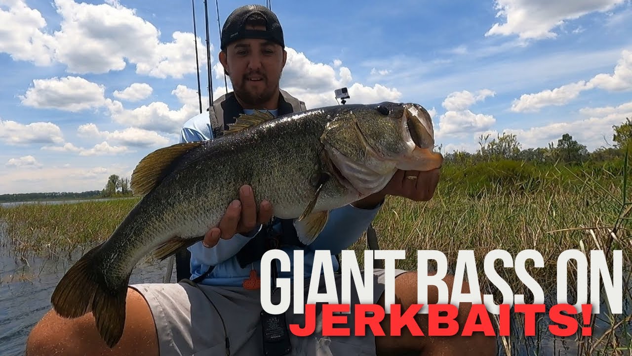 Summer Bass Fishing in Florida
