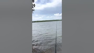 Câu cá tại Hồ Suối Môn - Long Tân - Đất Đỏ - Bà Rịa Vũng Tàu