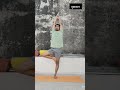 morning basic yoga #asana #ihavethisthingwithplants #motivation