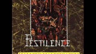 Video Chemo-therapy Pestilence