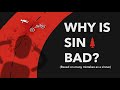 Why is sin bad  based on my many mistakes as a sinner