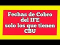 🔵Fechas de cobro del BONO de $10.000 IFE con CBU ¿Cuando cobro el BONO ?