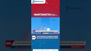 Viral Kelakuan Kucing dan Gagak Berusaha Merobek Bendera Israel, Mereka Tahu Mana yang Jahat