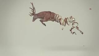 Stag, 3D, Animation, Unraveling