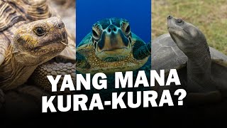 Semua Reptil Bercangkang Bisa Berenang? #AlamSemenit