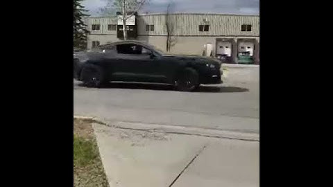 2015 mustang launch s550 coyote