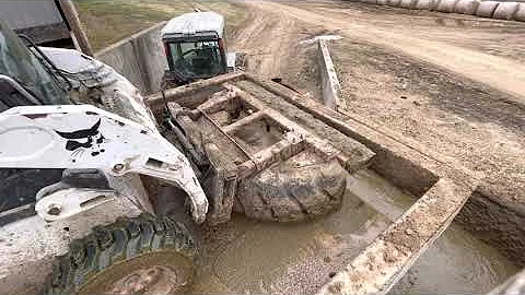 We use our Bobcat S205 to clean the freestall barn with the tire scraper!