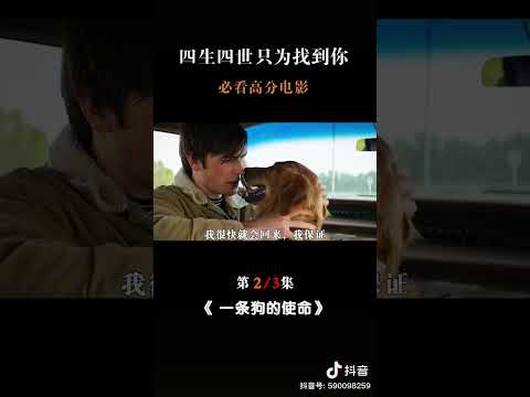 四生四世，只为找到你。＃一条狗的使命，＃推荐感人高分电影Part 2