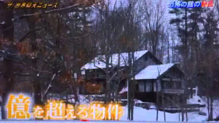 Japanese Tv Interview with Realtor Richard Lubinsk...