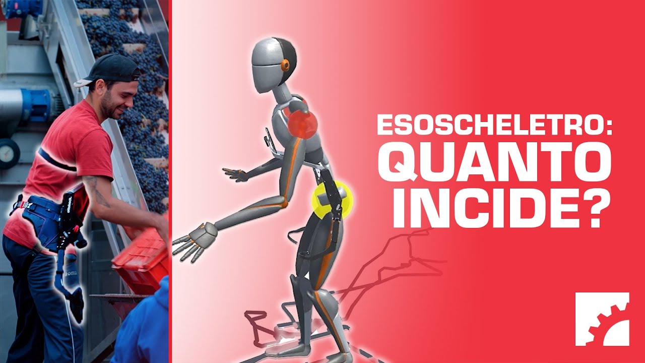 ESOSCHELETRO industriale, qual'è il reale impatto? Con la nostra analisi è possibile quantificarlo!