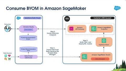 Bring Your Own ML Model by integrating Salesforce Data Cloud and Amazon SageMaker - Hands on Demo