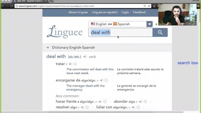 Linguee, Software