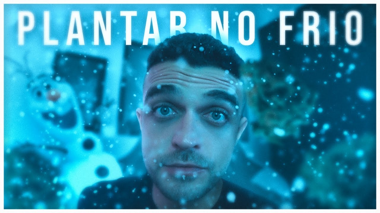 O segredo para plantar no FRIO