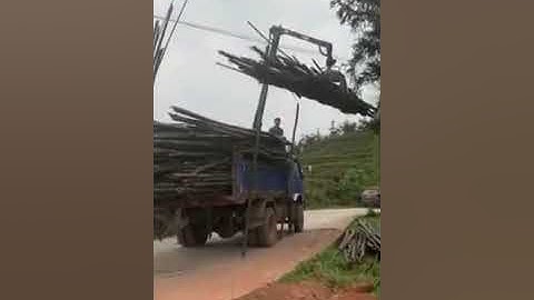 Log trailer with hydraulic loading crane/log loader trailer with crane for wood,bamboo and so on