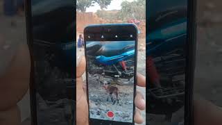 Redami 11Note Se Camera Test