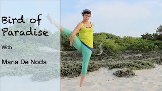 Bird of Paradise - Yoga Basics