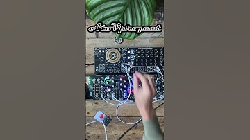 Wild Ring Modulated Drones: Dual Harmonic Oscillator x cLFO Patch | AtoVproject