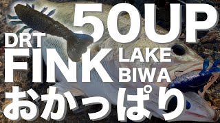 おかっぱり ！FINK で50UP！#琵琶湖#DRT#フィンク#フリーリグ#おかっぱり#春#バンタム#bassfishing #japan#배스낚시