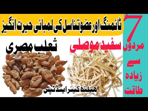 Musli Sufaid Aur Salab Misri Ke Fayde موصلی سفید اور ثعلب مصری کے فائدے Powerful Food