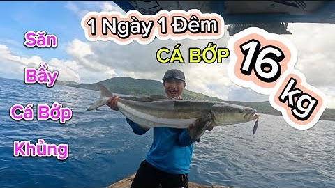 TIẾP TỤC ĐI JIGGING SĂN CÁ BỚP TRÊN 10KG ! Tại Điểm Rạng Em Và Bạn Em Dính Cá Bớp 25kg .Biển Côn Đảo