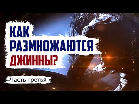 Как размножаются джинны? Какими сверхспособностями они обладают? | Джинны #3 | Время покаяния