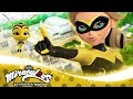 MIRACULOUS | 🐝 EL COMBATE DE LAS REINAS - COMPILACIÓN 🐞 | Las Aventuras de Ladybug