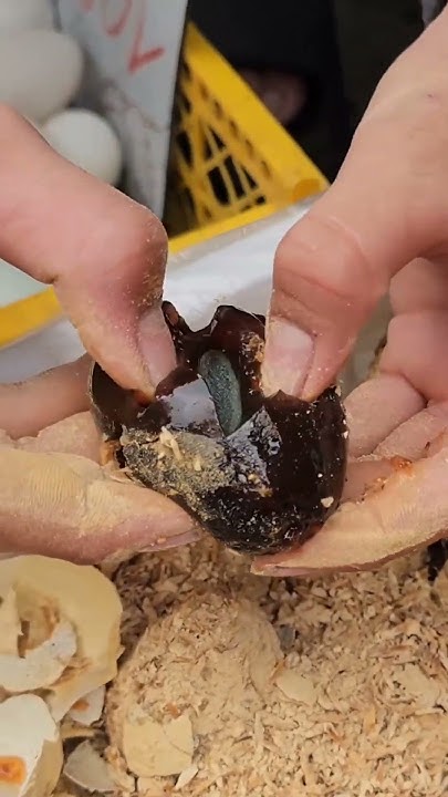 7-china-7-most-weird-food-eaten-in