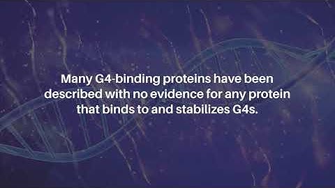 G-Quadruplex Landscape Revealed by New Antibody Method | Oncotarget