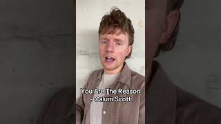 You Are The Reason Calum Scott