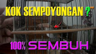 Penyebab Utama & Cara Atasi Prenjak Tetelo / Gangguan Saraf