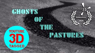 Ghosts Of The Pastures - YouTube 3D