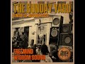 ROOTS REGGAE DUB VINYL SELECTION #1 by Free Mind & Wisdom Sound (LIVE) #thesundayyard