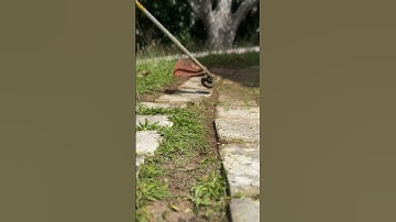 STIHL TRIMMER gets it done | #landscaping #shorts