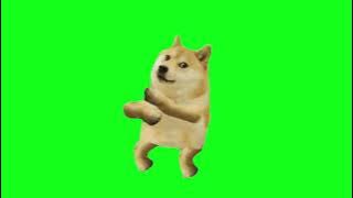 Green screen Dog dancing video#dog_meme