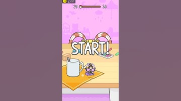 Hide and Seek: Cat Escape! 👀🐱 Endless Mode Gameplay Walkthrough | Best Android Games #shorts #games