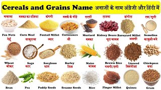 #अनाजो के नाम , grains name english to hindi. cereals name in English. anajo ke naam