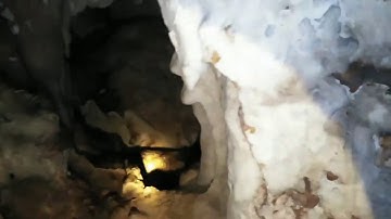 Yos hav zoov tua puav, tua qaib qus Lom zem tiag2