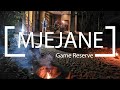 Mjejane game reserve  best value lodges in greater kruger area