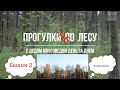 Прогулки НЕ по лесу с дедом Многоведом 21 мая 2022г дворец Потемкина. Вариант 2.