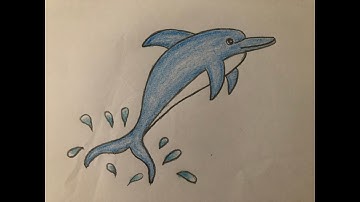 Cách vẽ cá heo đơn giản | Hướng dẫn vẽ cá heo bằng bút chì | How to draw dolphins