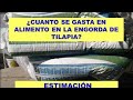 Cuanto alimento necesitas para producir una tonelada de Tilapias?.