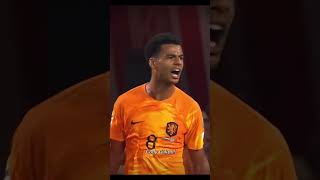 Wk song Netherlands #football #soccer #legend #edit #nederland #nederlands #worldcup